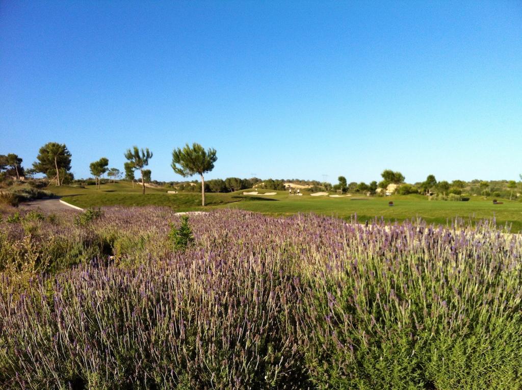 Villa In Spain At Las Colinas Golf & Country Club Dehesa de Campoamor  Luaran gambar